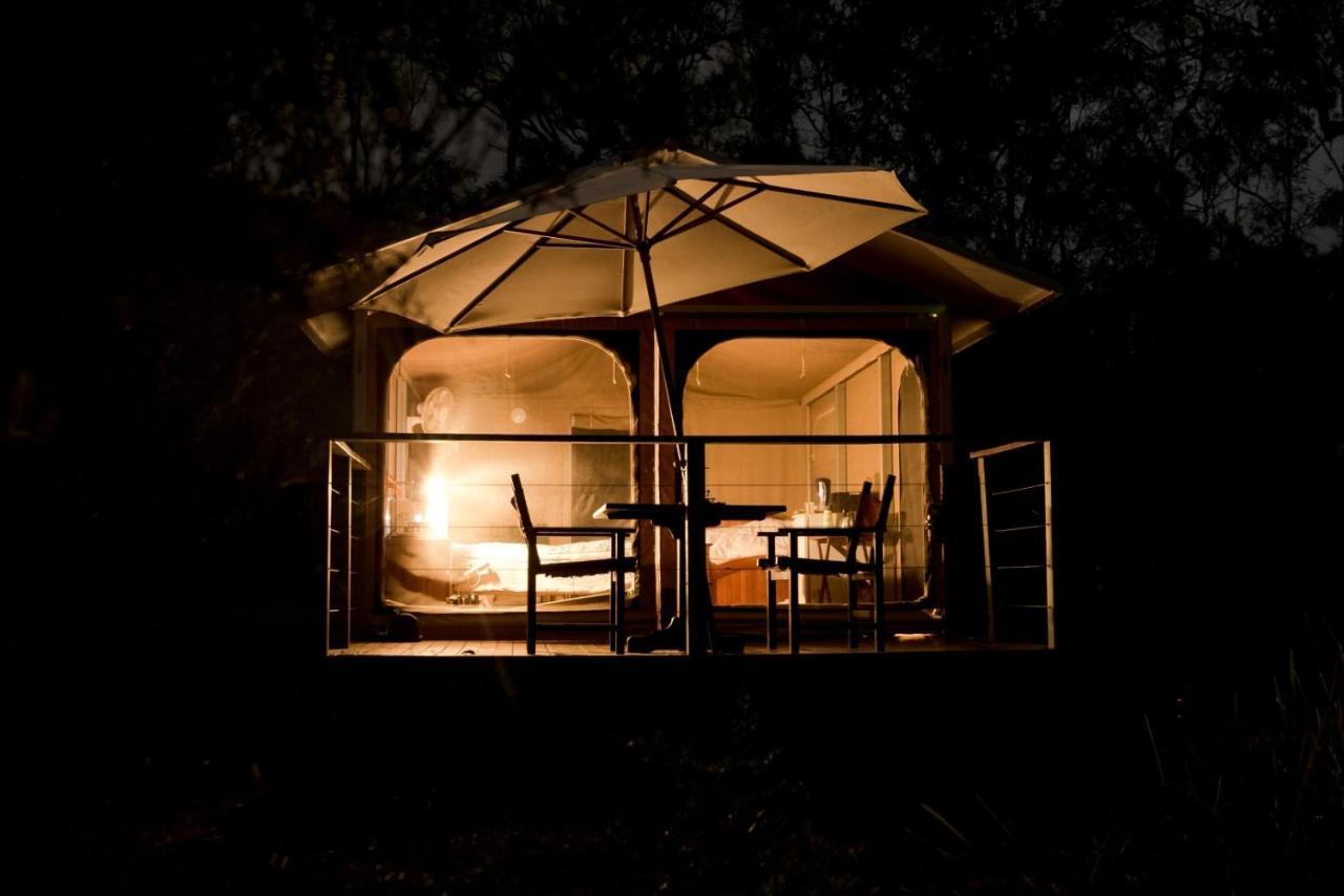 Wild Nature Lodge, Mareeba Wetlands Biboohra Exterior foto
